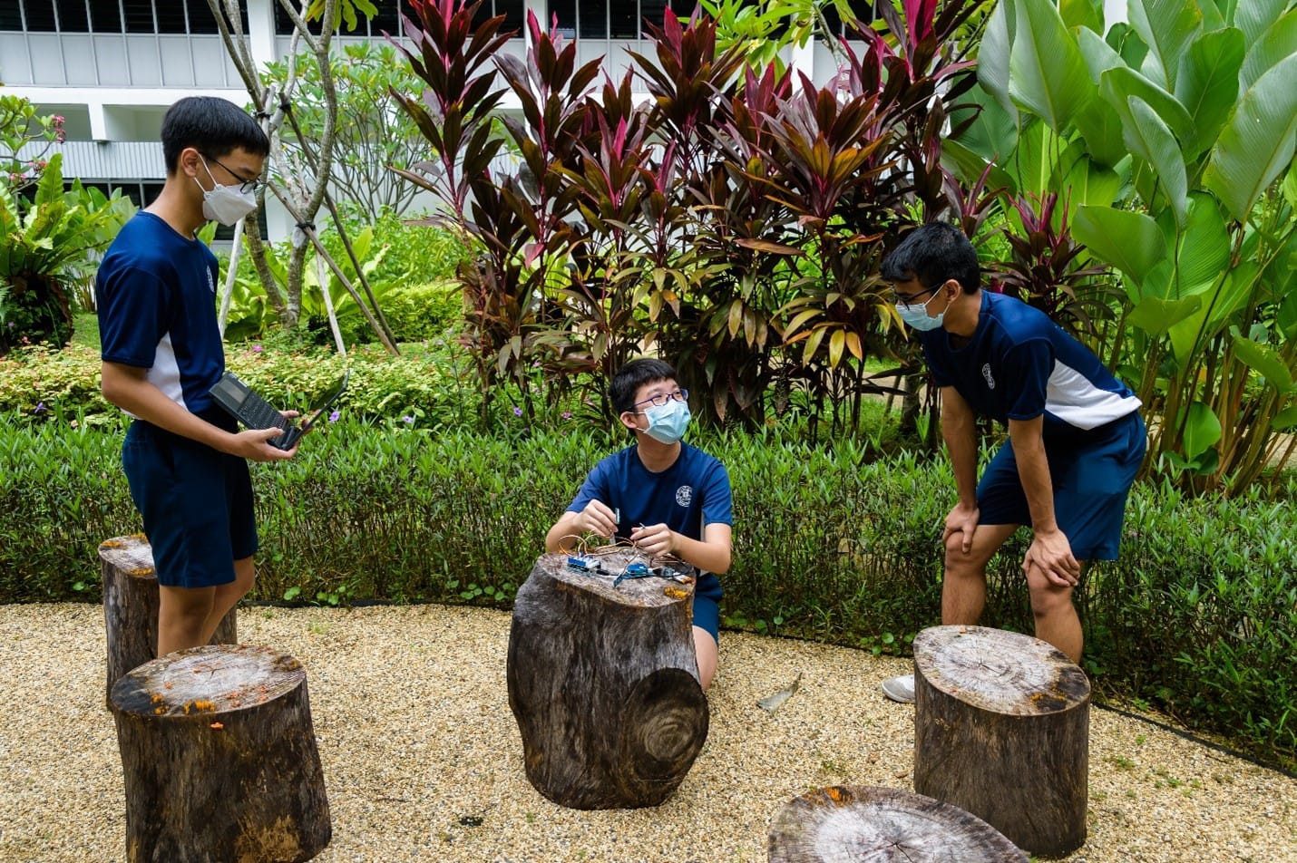 Three masked students in blue uniforms work on an electronics project outdoors among tree stumps and tropical plants.